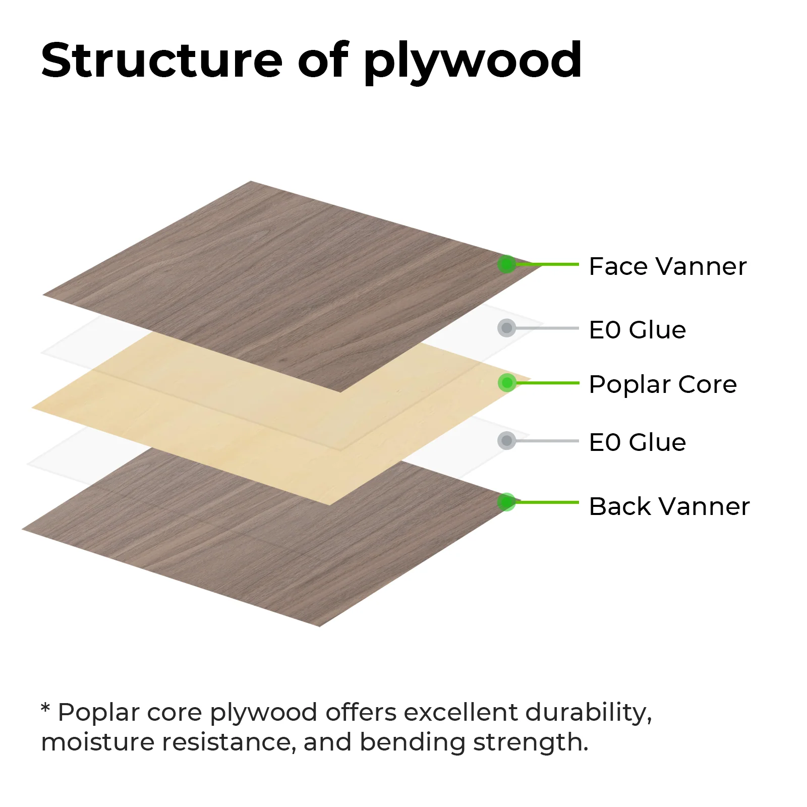 Birch Plywood Sheets - Image 4